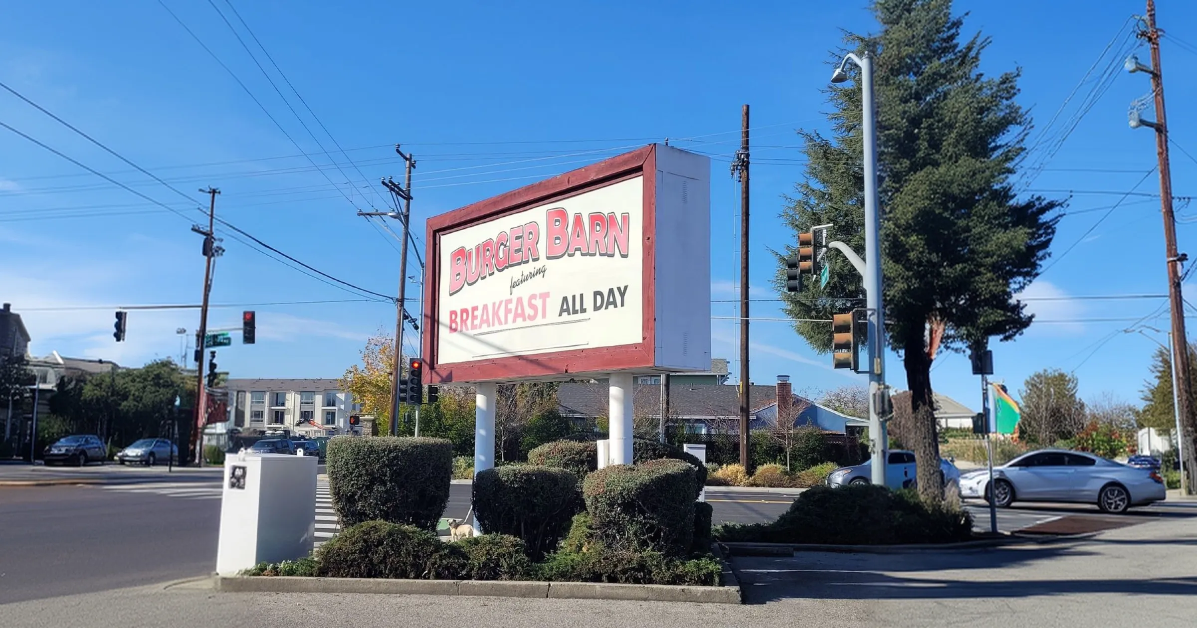 Burger Barn on Forest Ave: Your West San Jose (95128) Neighborhood Spot